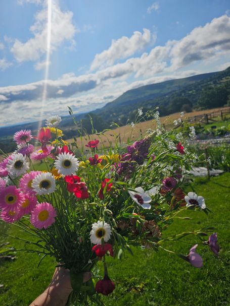 A hand holding a bunch of harden-gathered summer blooms with a blue sky and hills in the background. 